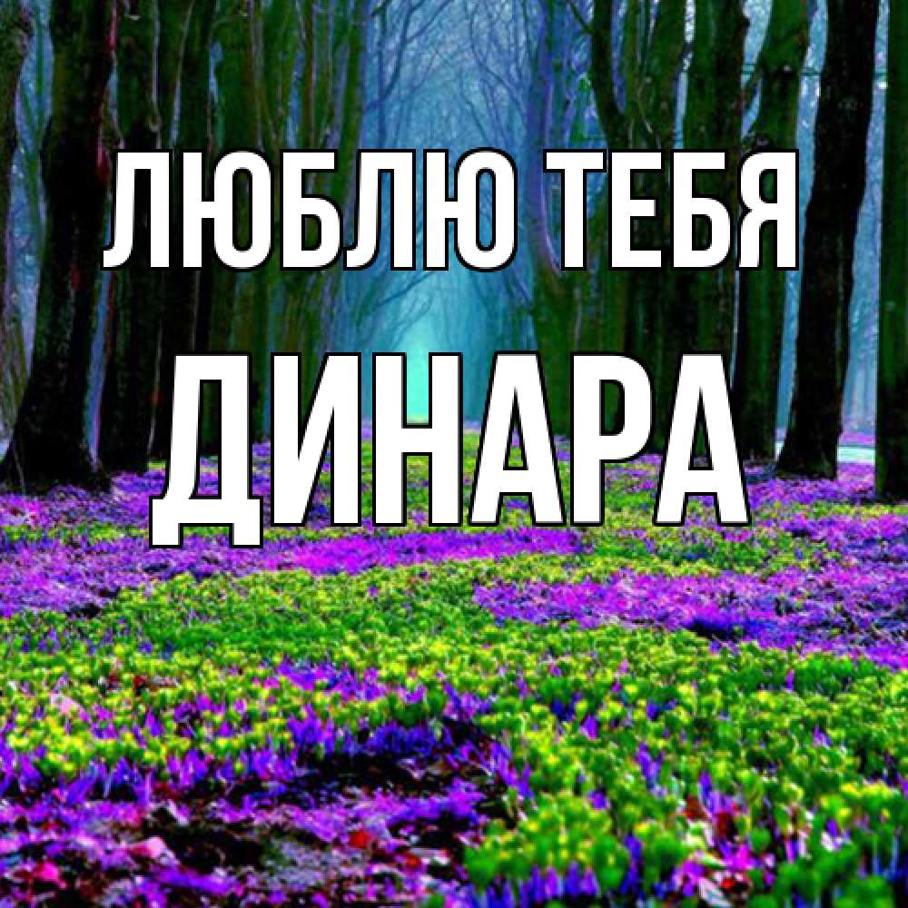Открытка на каждый день с именем, Динара Люблю тебя фиолетовые цветы в лесу 1 Прикольная открытка с пожеланием онлайн скачать бесплатно 