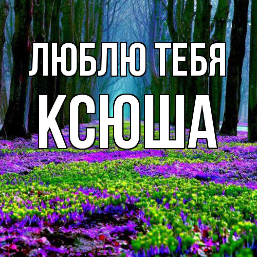 Открытка на каждый день с именем, Ксюша Люблю тебя фиолетовые цветы в лесу 1 Прикольная открытка с пожеланием онлайн скачать бесплатно 
