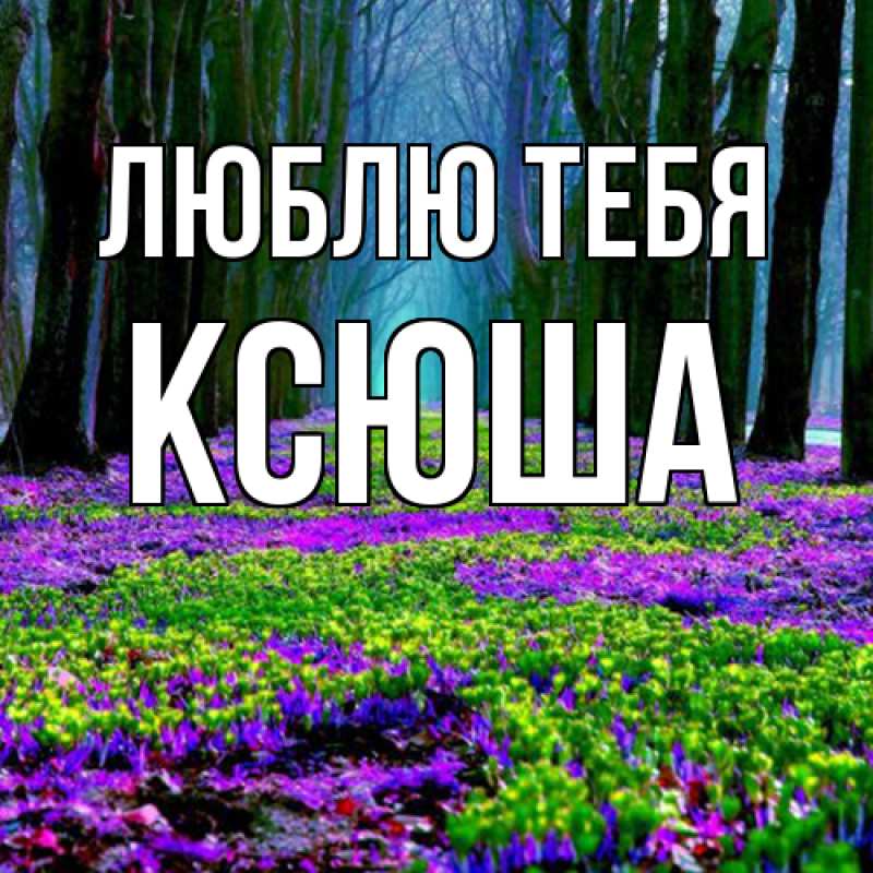 Картинка Люблю тебя, Ксюша