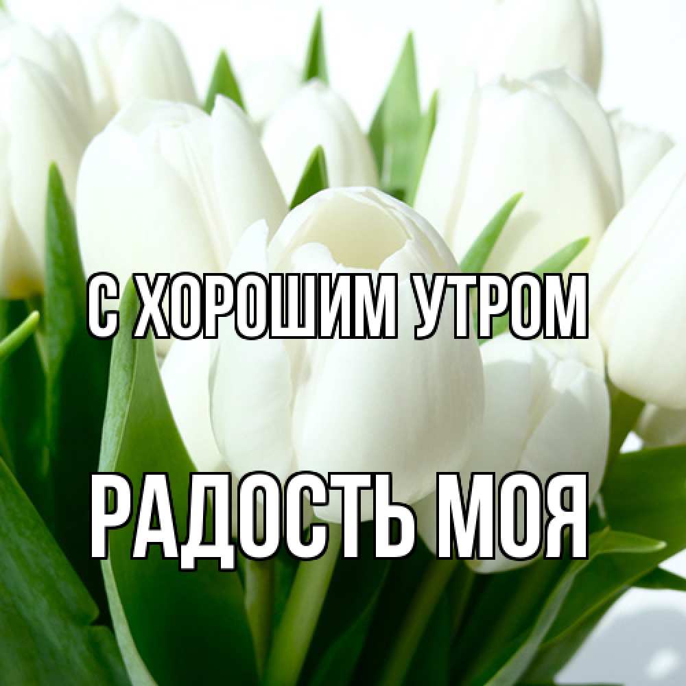 Открытка на каждый день с именем, Радость-моя С хорошим утром открытки на каждый день по именам Прикольная открытка с пожеланием онлайн скачать бесплатно 