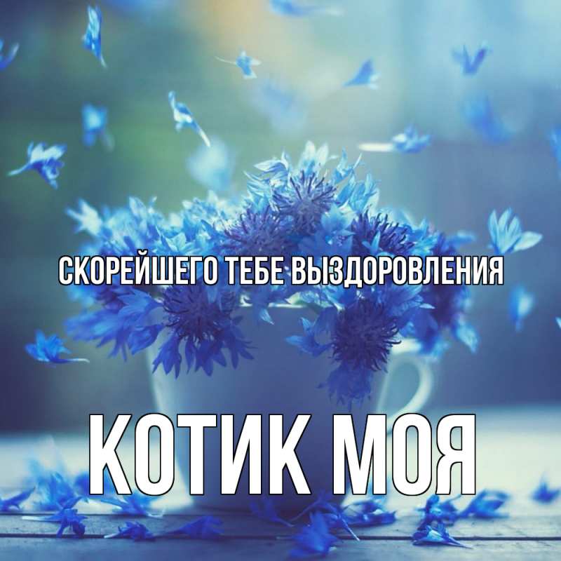 Картинка Скорейшего тебе выздоровления, Котик моя
