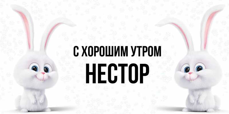 Картинка С хорошим утром, Нестор