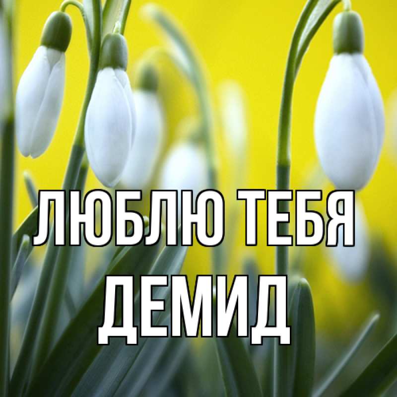 Картинка Люблю тебя, Демид