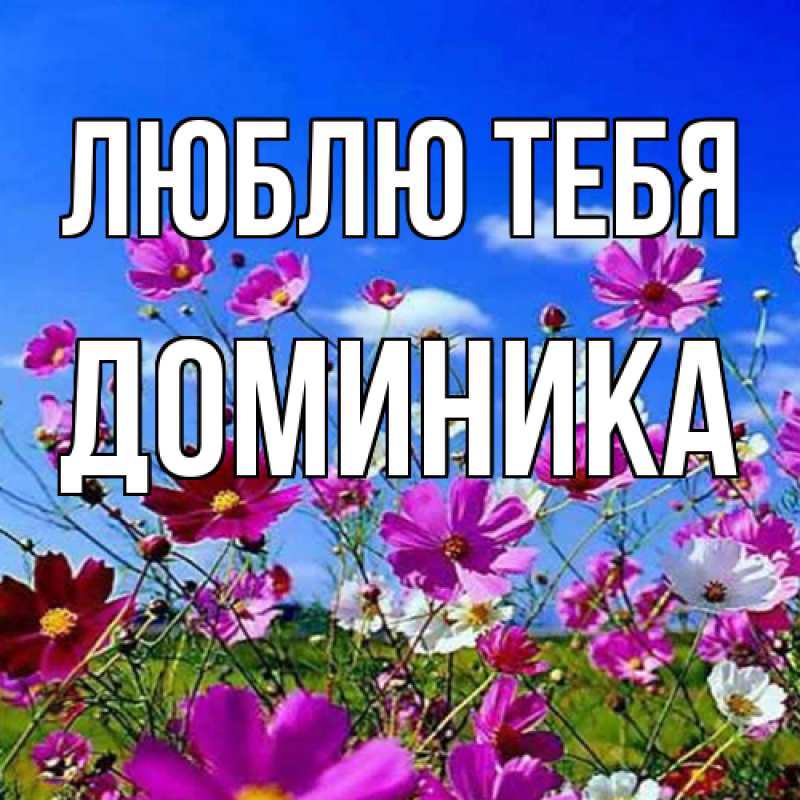 Картинка Люблю тебя, Доминика