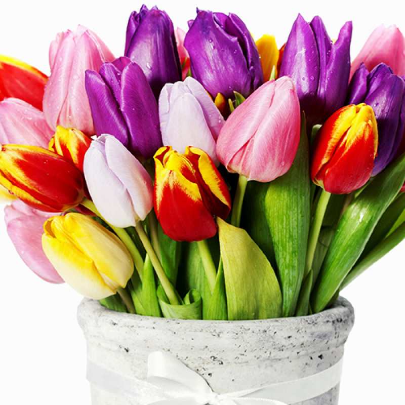 Картинка Люблю тебя, Коля