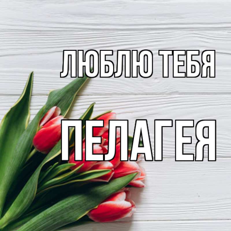 Картинка Люблю тебя, Пелагея