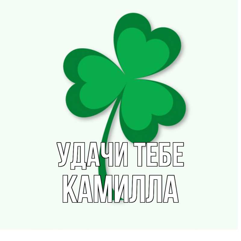 Картинка Удачи тебе, Камилла