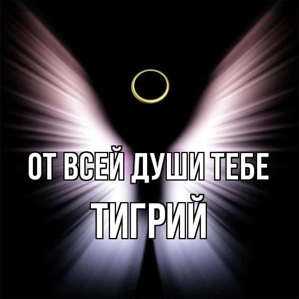 Открытка на каждый день с именем, Тигрий От всей души тебе ангел из света Прикольная открытка с пожеланием онлайн скачать бесплатно 