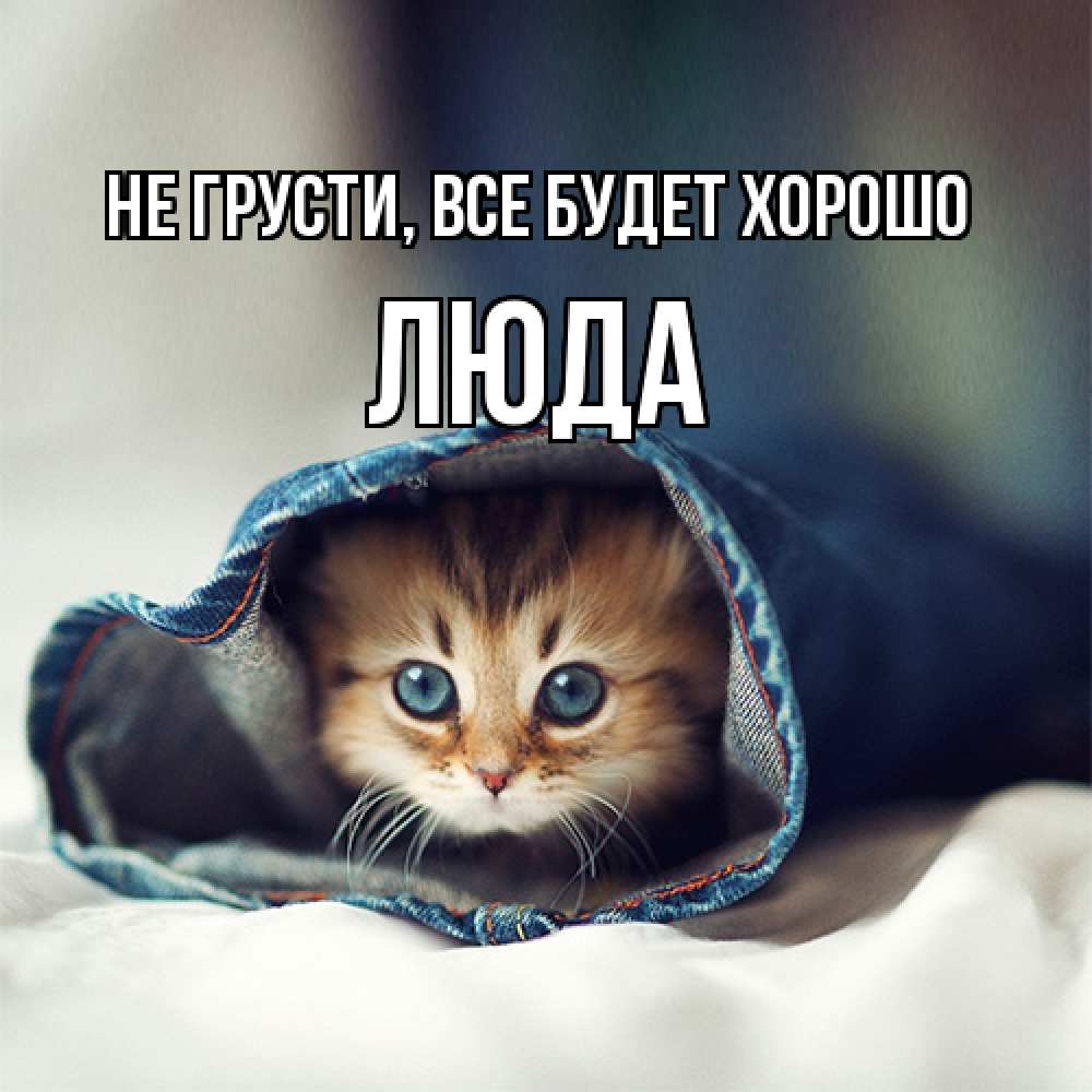 Открытка на каждый день с именем, Люда Не грусти, все будет хорошо кот в одежде Прикольная открытка с пожеланием онлайн скачать бесплатно 