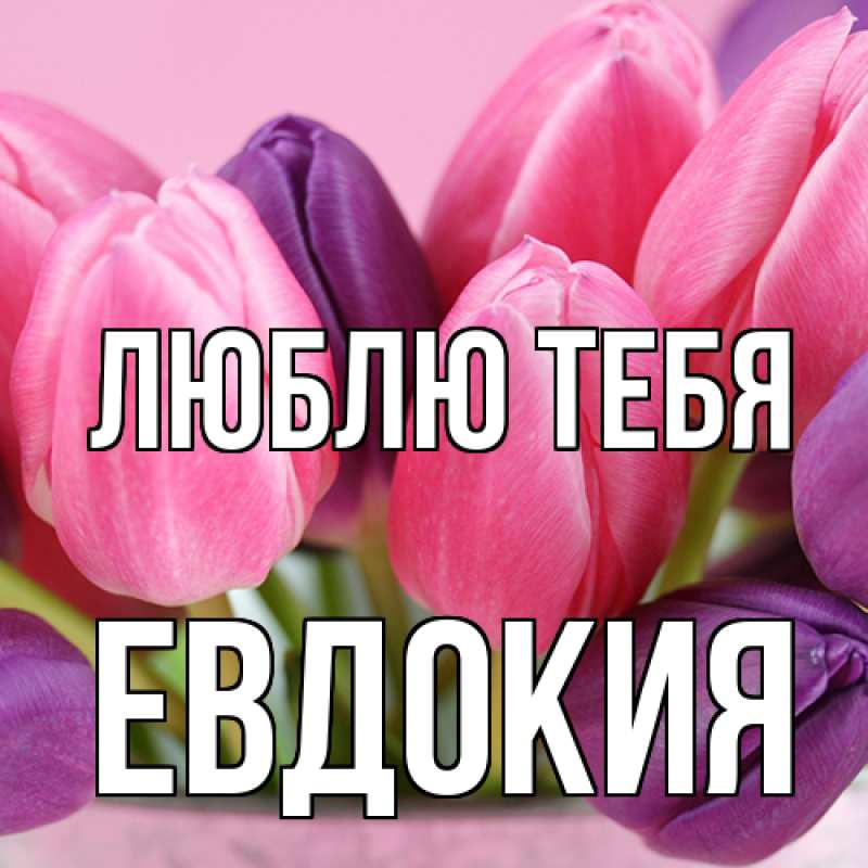 Картинка Люблю тебя, Евдокия