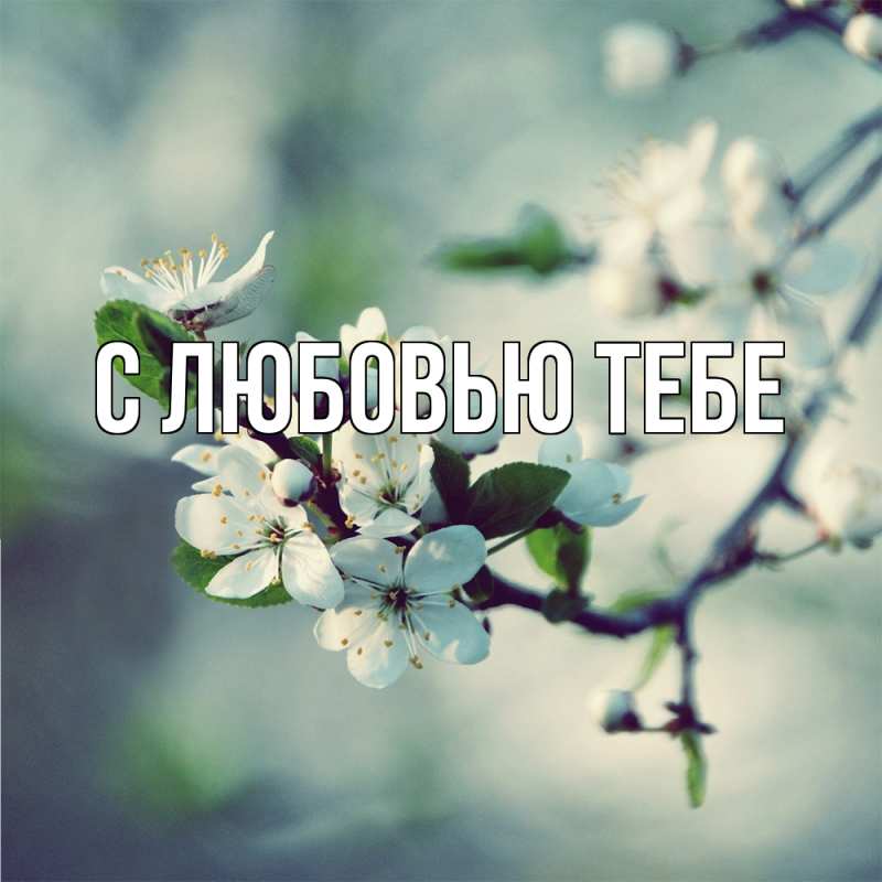 Картинка Скучашки, Демид