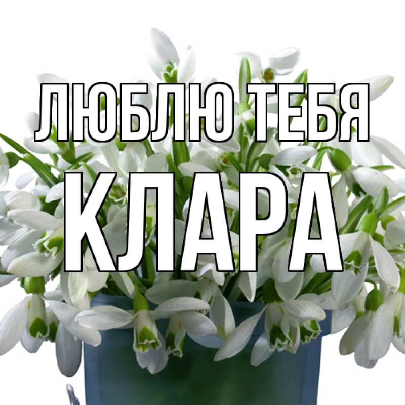 Картинка Люблю тебя, Клара
