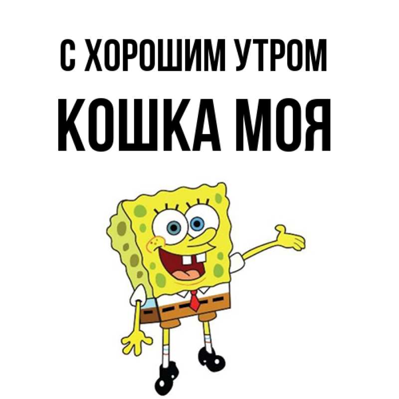 Картинка С хорошим утром, Кошка моя