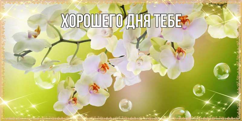 Картинка Люблю тебя, Гордон
