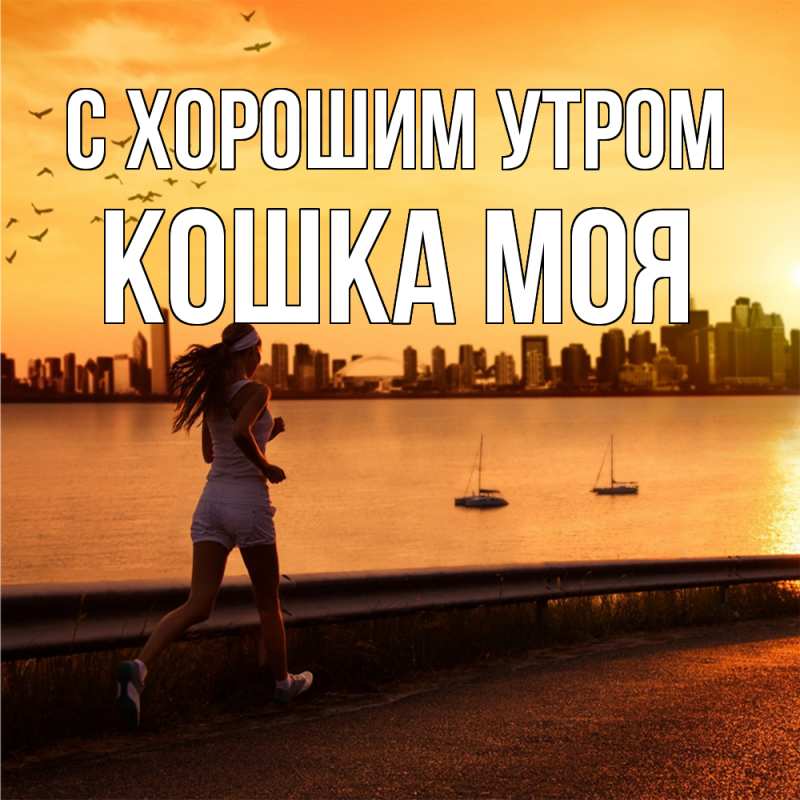 Картинка С хорошим утром, Кошка моя