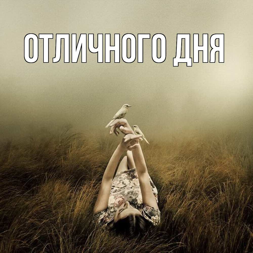 Открытка на каждый день с именем, Аида Скучашки девушка с голубями Прикольная открытка с пожеланием онлайн скачать бесплатно 