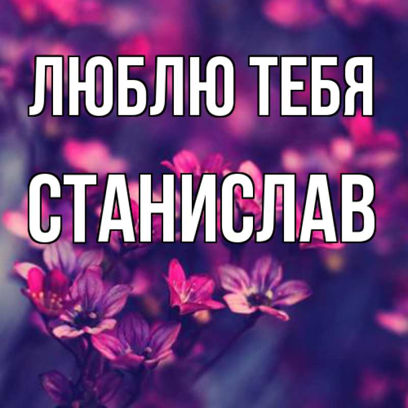 Открытка с именем, Станислав, Люблю тебя