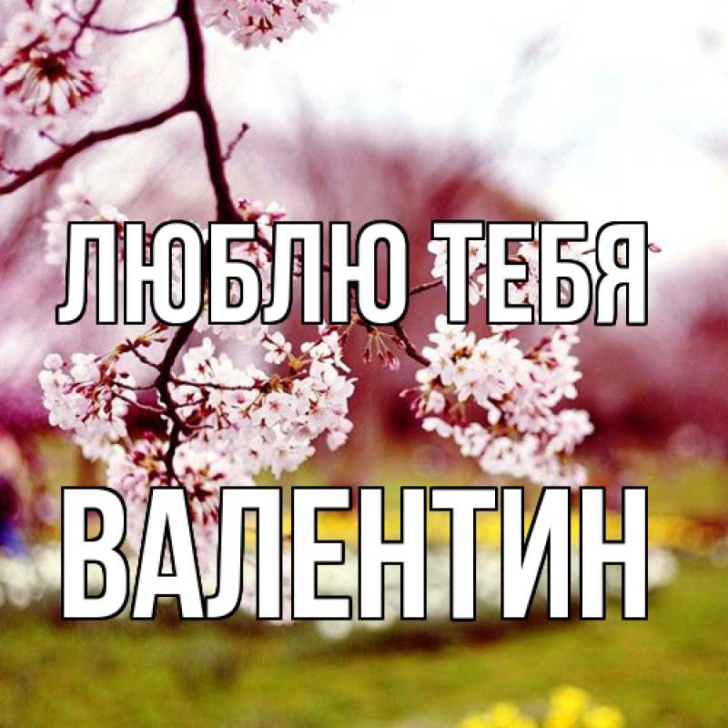 Картинка Люблю тебя, Валентин