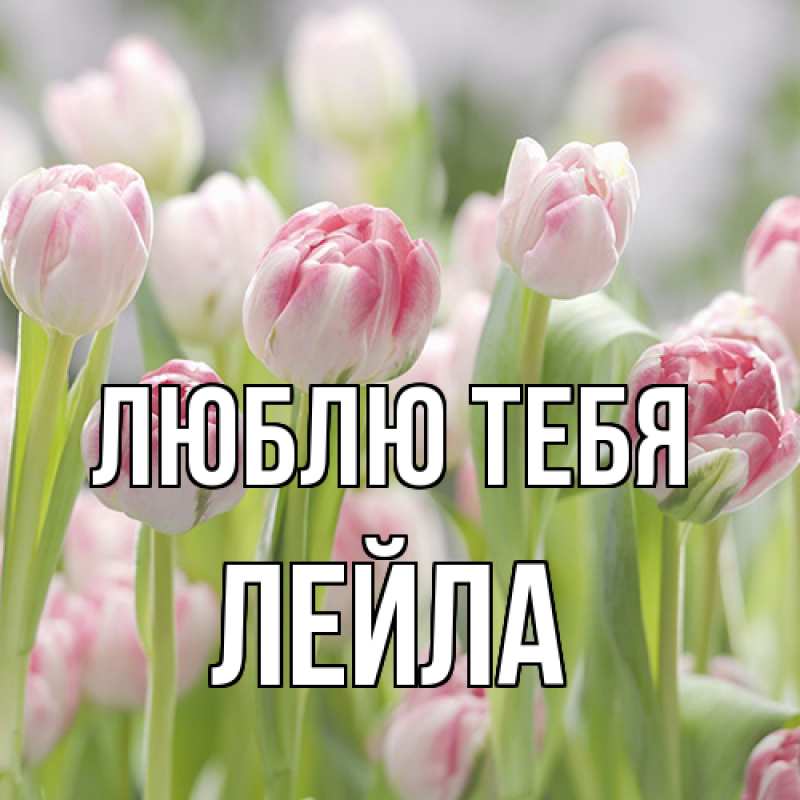 Открытка с именем, Лейла, Люблю тебя