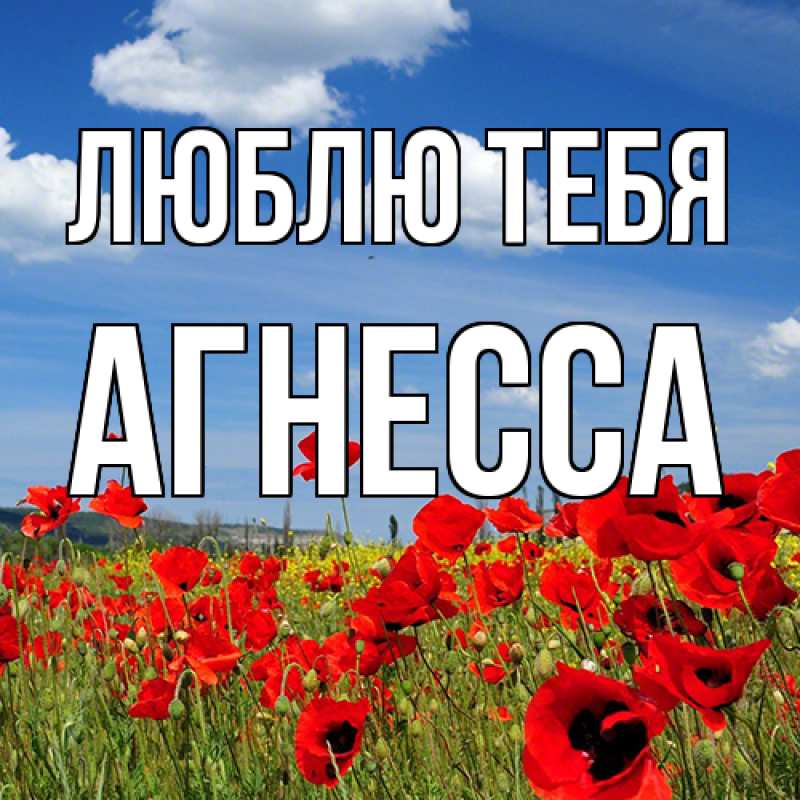 Картинка Люблю тебя, Агнесса
