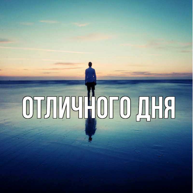 Картинка Скучашки, Дима