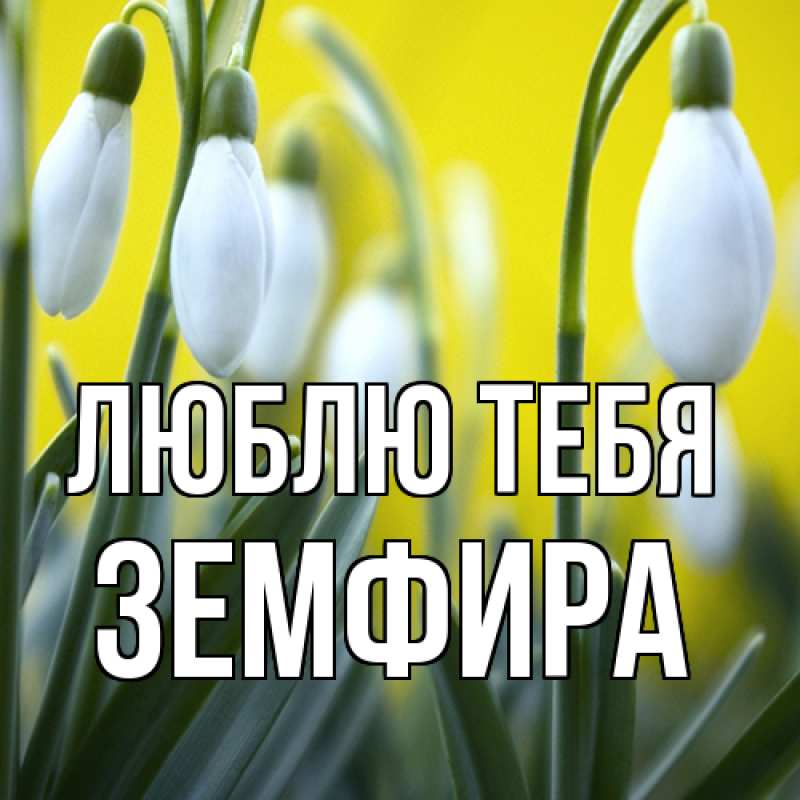 Картинка Люблю тебя, Земфира