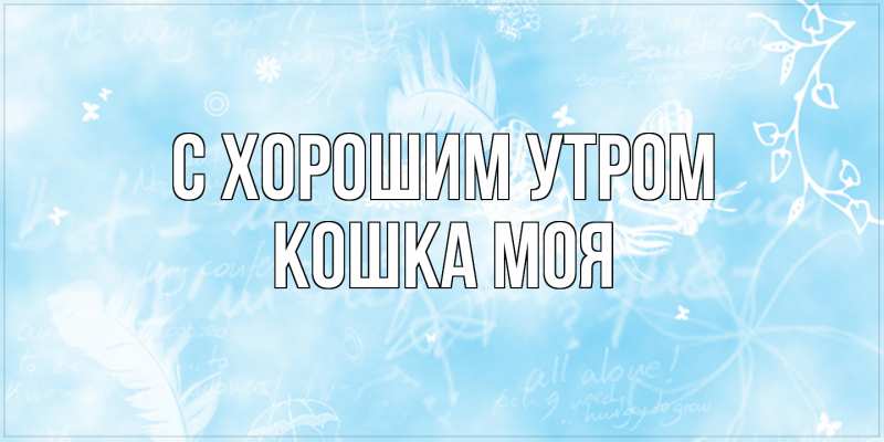 Картинка С хорошим утром, Кошка моя