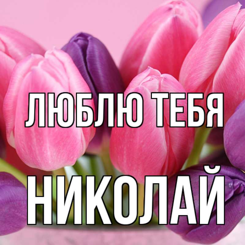 Картинка Люблю тебя, Николай
