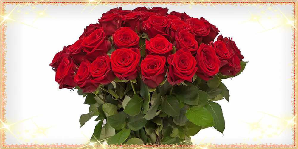 Открытка на каждый день с именем, Коля Люблю тебя поздравляю с 8 марта Прикольная открытка с пожеланием онлайн скачать бесплатно 