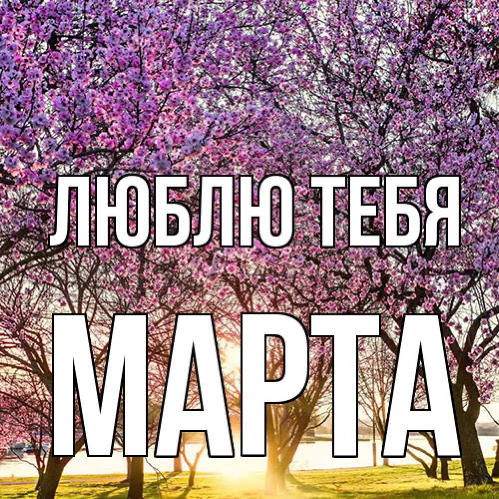 Открытка на каждый день с именем, Марта Люблю тебя международный женский день Прикольная открытка с пожеланием онлайн скачать бесплатно 