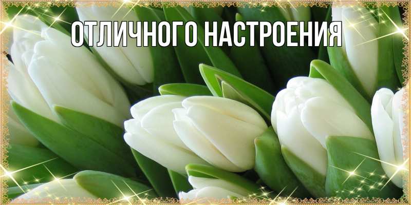 Картинка Люблю тебя, Габриэлла