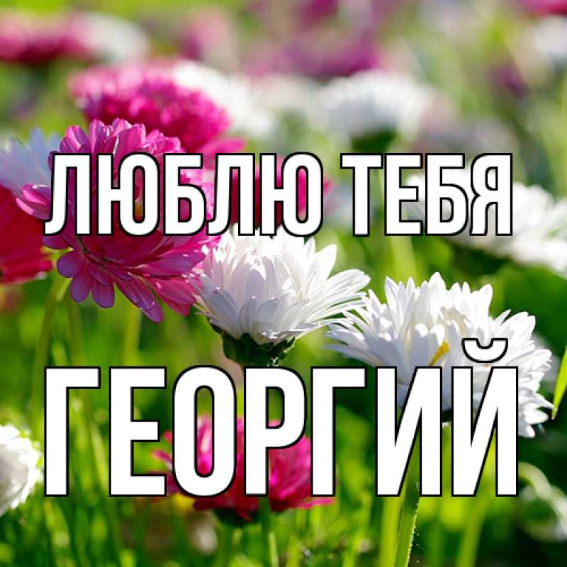 Картинка Люблю тебя, Георгий