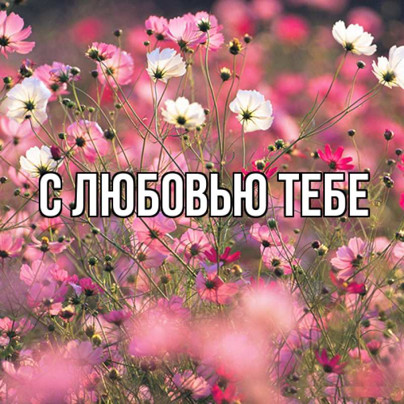 Картинка Люблю тебя, Жан