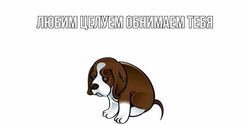 Картинка Не обижайся, Грациозная моя