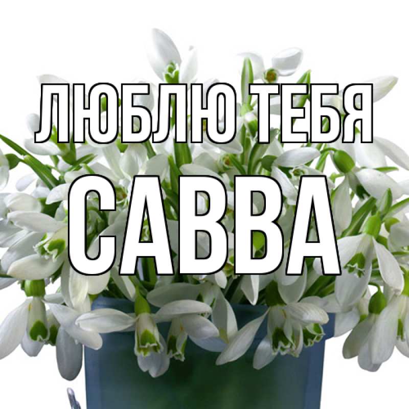 Открытка с именем, Савва, Люблю тебя