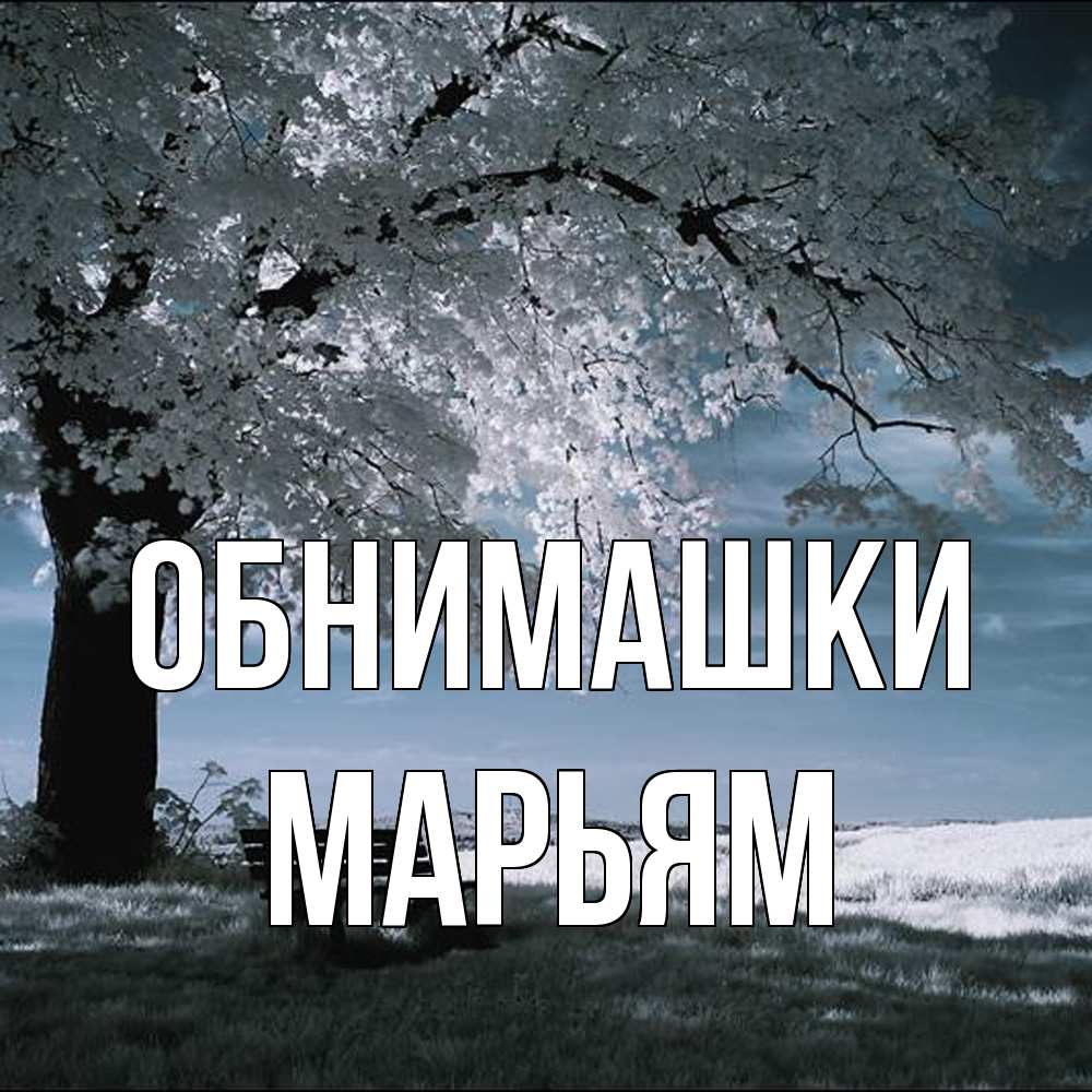 Открытка на каждый день с именем, Марьям Обнимашки дерево Прикольная открытка с пожеланием онлайн скачать бесплатно 