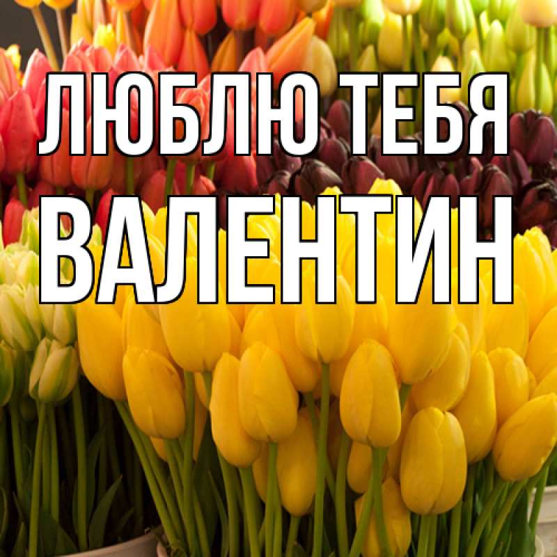 Картинка Люблю тебя, Валентин