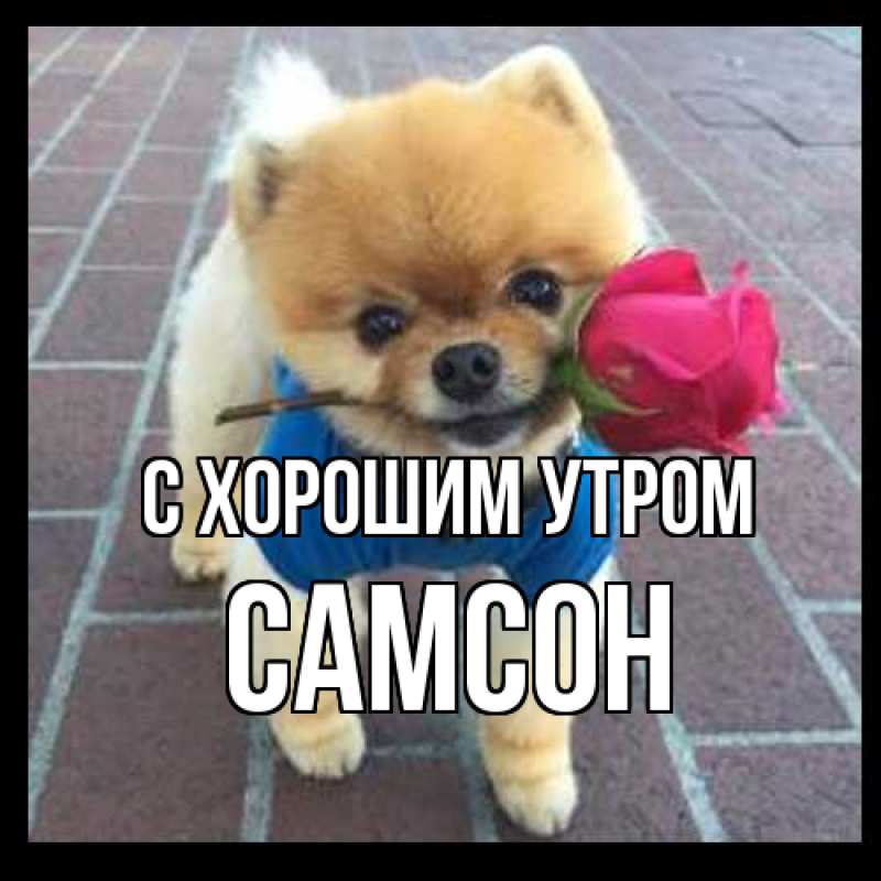 Открытка с именем, Самсон, С хорошим утром