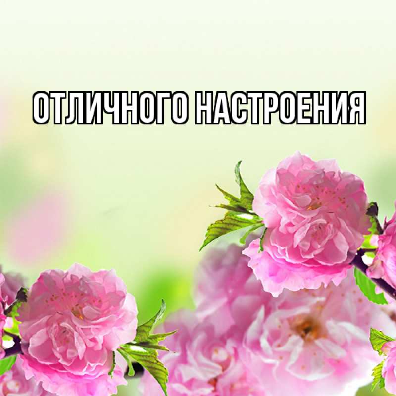 Картинка Люблю тебя, Габриэлла
