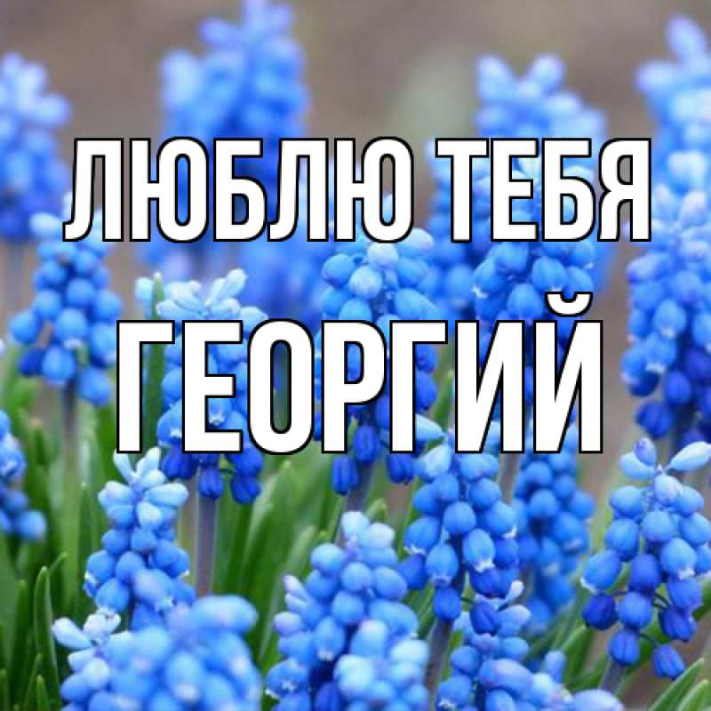 Картинка Люблю тебя, Георгий