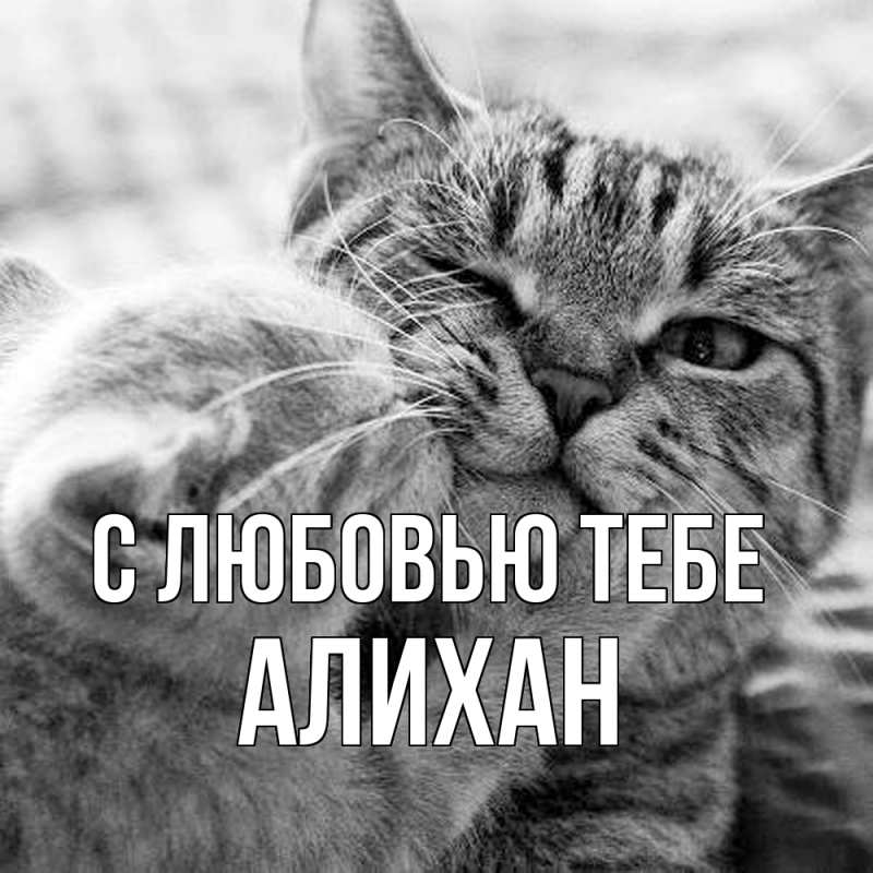 Картинка С любовью тебе, Алихан