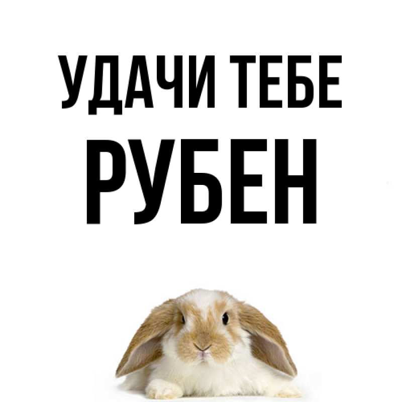 Картинка Удачи тебе, Рубен