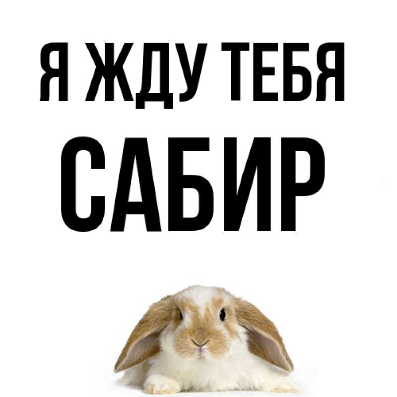 Картинка Я жду тебя, Сабир