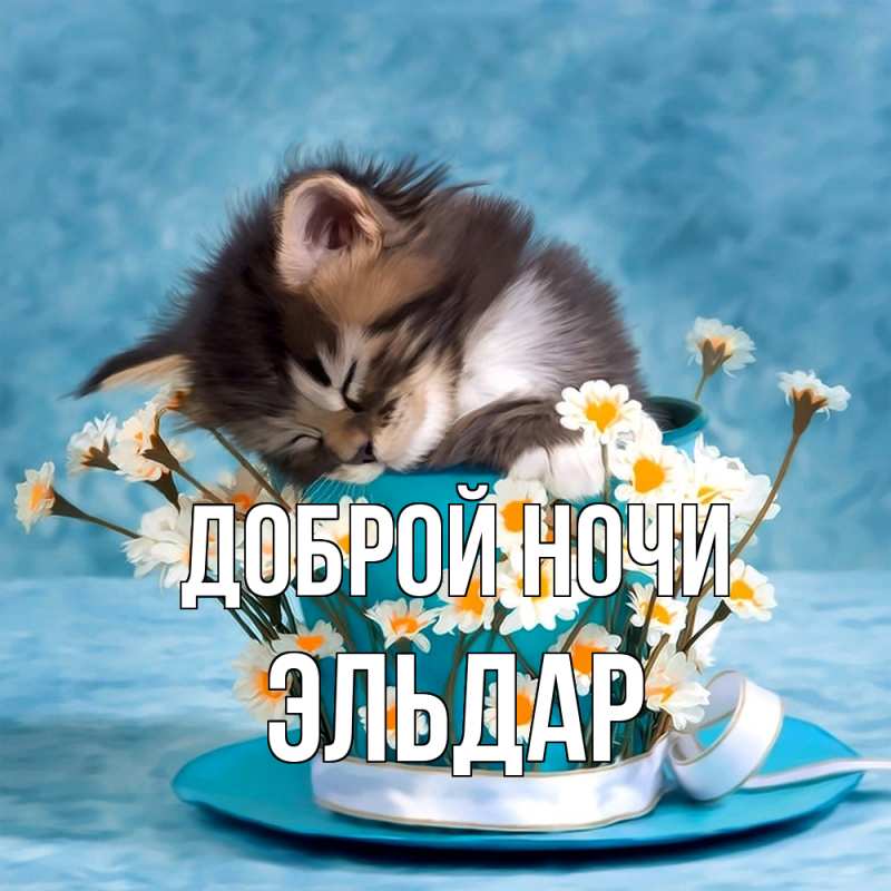 Картинка Доброй ночи, Эльдар