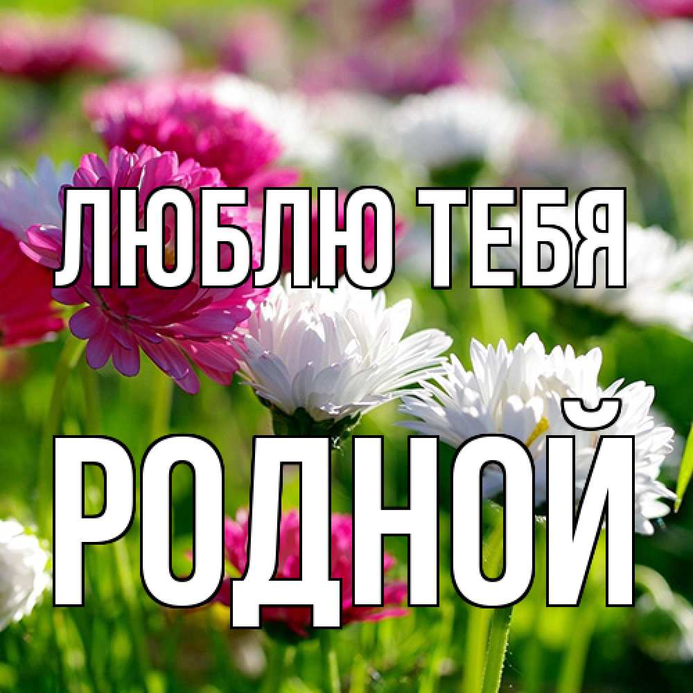 Открытка на каждый день с именем, Родной Люблю тебя международный женский день 1 Прикольная открытка с пожеланием онлайн скачать бесплатно 