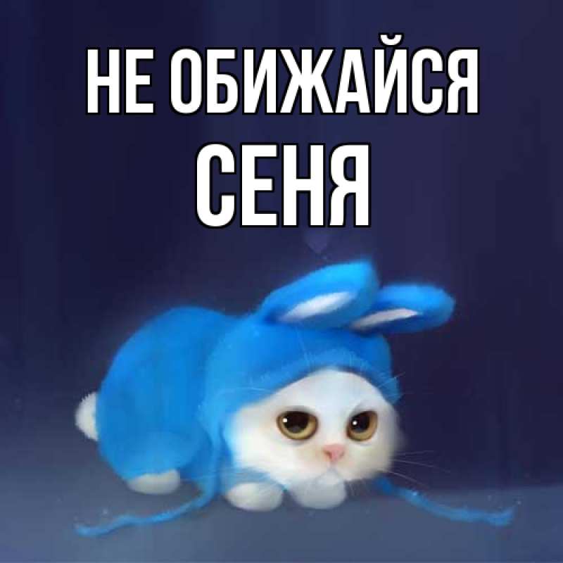 Картинка Не обижайся, Сеня