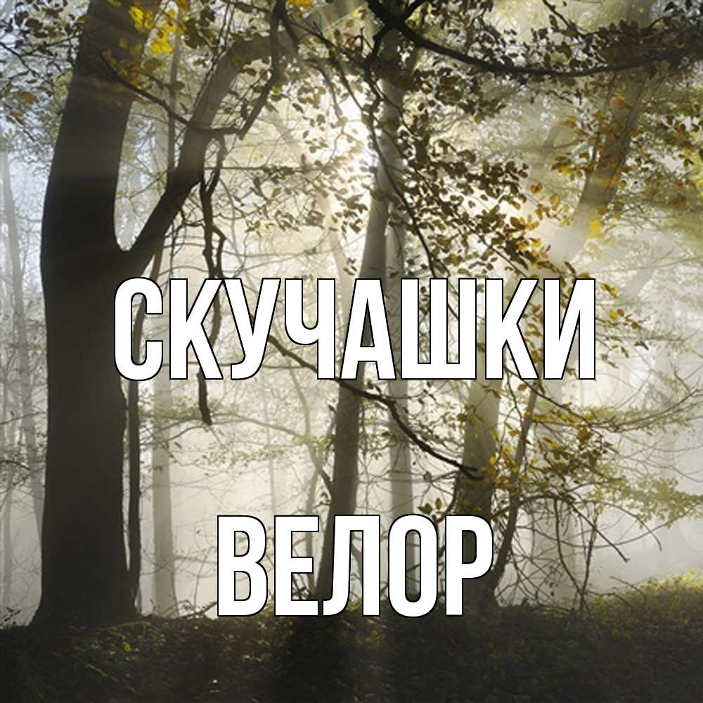 Открытка на каждый день с именем, Велор Скучашки грустно Прикольная открытка с пожеланием онлайн скачать бесплатно 