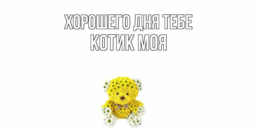 Открытка на каждый день с именем, Котик-моя Хорошего дня тебе позитивного настроения вам Прикольная открытка с пожеланием онлайн скачать бесплатно 