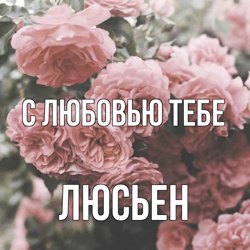 Картинка С любовью тебе, Люсьен