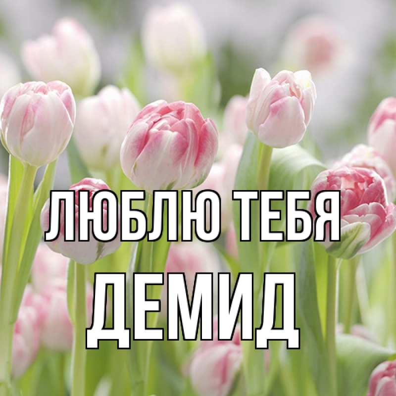 Картинка Люблю тебя, Демид